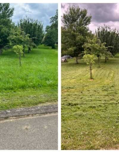 Avant après tonte de pelouse
