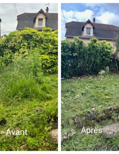 Avant après entretien paysager