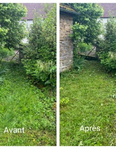 Avant après nettoyage jardin