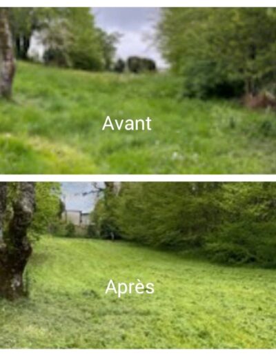 Avant après entretien espace vert