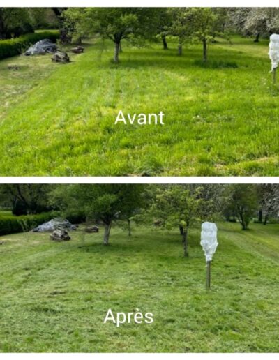 Avant après tonte pelouse espace vert