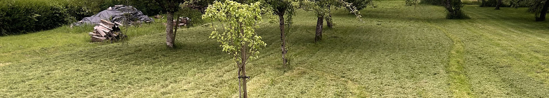 Entretien d'espaces verts à Vesoul